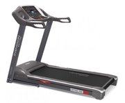 Svensson Body Labs OrthoLine TRX фото