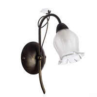 Arte Lamp A7449AP-1BR